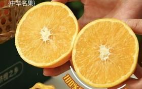 一口爆汁！赣南脐橙凭什么这么绝？