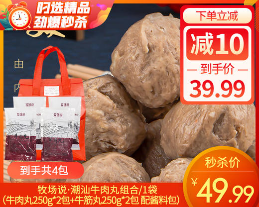 牧场说·潮汕牛肉丸组合/1袋（牛肉丸250g*2包+牛筋丸250g*2包 配酱料包） 商品图0