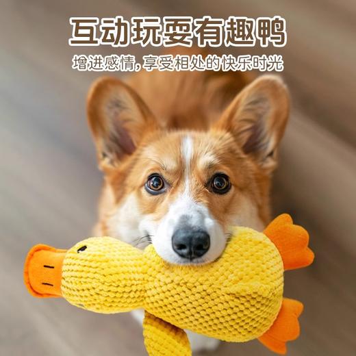 小黄鸭狗狗玩具自嗨发声解闷神器毛绒玩偶陪伴鸭菠萝绒玩具/个 商品图2