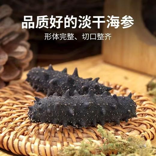 淡干海参  500克/盒 商品图3