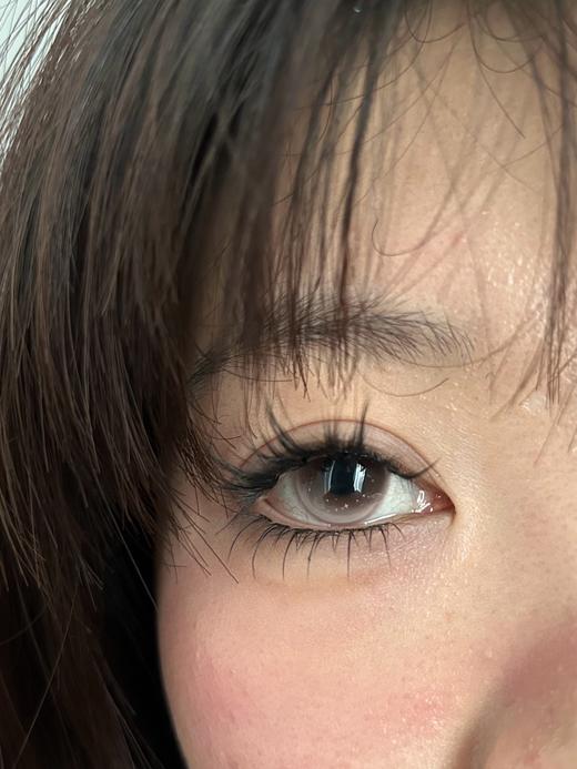 CN花兔兔半年抛--樱花落落 商品图1