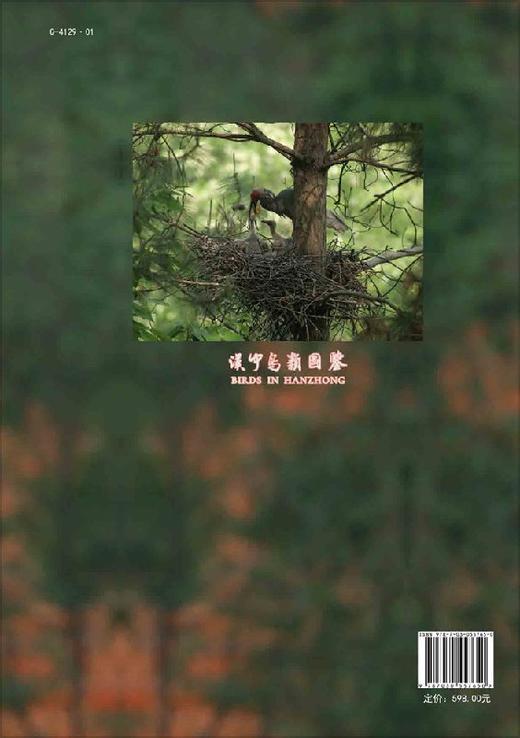 汉中鸟类图鉴 商品图1