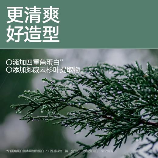 理然打底造型喷雾蓬松水 高颅顶造型 全新升级 180ml 商品图2