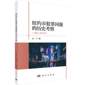 纽约市犯罪问题的历史考察：1980～2004年/林广