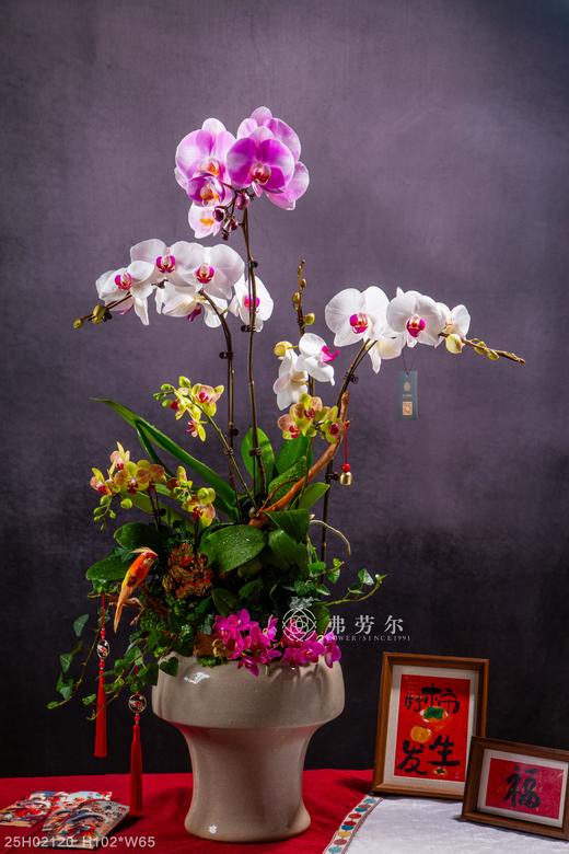 蛇行天际 商品图0