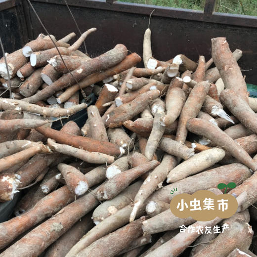 【积分享优惠】生态木薯淀粉 250g*3罐 | 合作农友生产，产自广东从化，生产者：汇耕田合作社成员 ＆【公平贸易农人定价】 商品图13