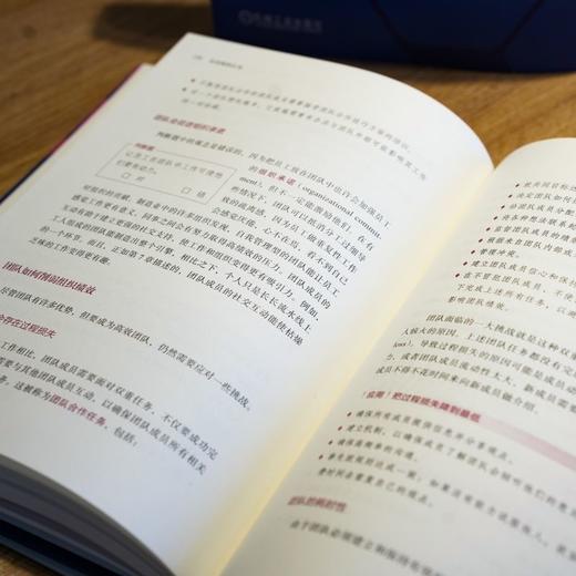 官网 认识组织行为 成为高效管理者 第2版 忻榕 琼 皮尔斯 组织行为学 组织管理 企业经营管理学书籍 商品图4