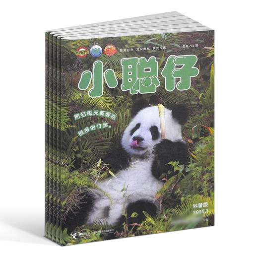 小聪仔自然科普版 1年共12期 自然动物儿童科学期刊杂志 杂志订阅 商品图2