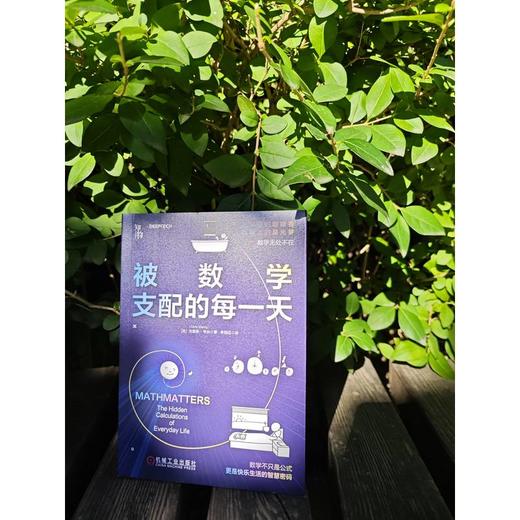 官网 被数学支配的每一天 克里斯 韦林 用数学知识解决生活难题 数学生活指南数学科普书籍 商品图1