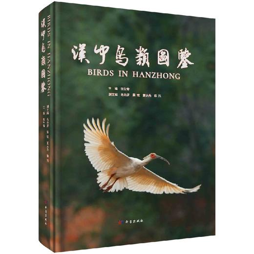 汉中鸟类图鉴 商品图0