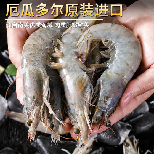盐冻南美白虾20/30  1.5kg/盒（厄瓜多尔） 商品图2