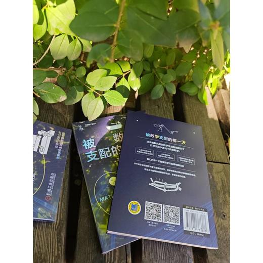 官网 被数学支配的每一天 克里斯 韦林 用数学知识解决生活难题 数学生活指南数学科普书籍 商品图2