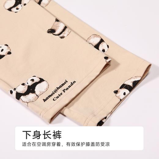 都市丽人童装正价棉质短袖套装薄32支纯棉单面亲情蜜语短袖类JHH9B4 商品图6