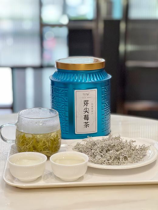 强韵·芽尖莓茶 ，茶中的"黄酮之王"，湘西土家人长寿秘诀 商品图0