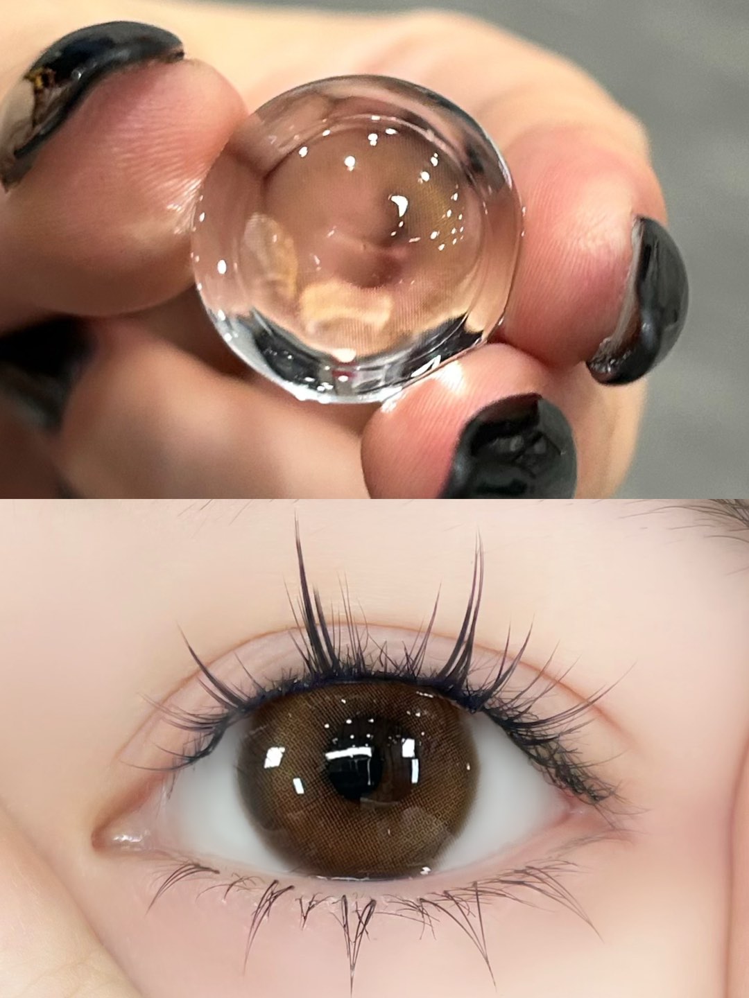 CN花兔兔半年抛--太阳之子