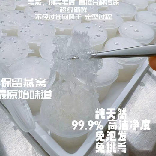 冰鲜燕窝 3.5克*30盒（送燕窝专用电炖盅） 商品图1