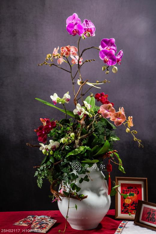 腾蛇御风 商品图0