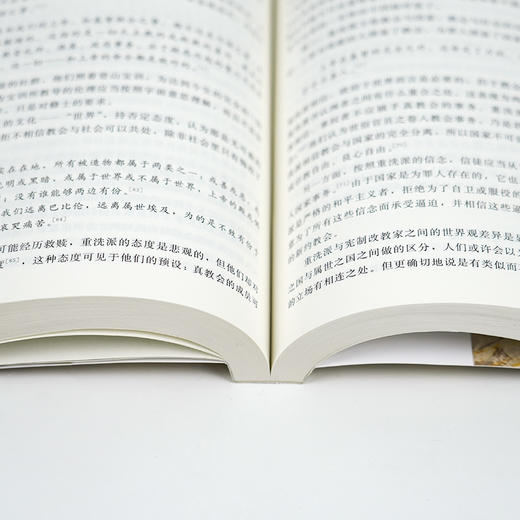 【美】W·安德鲁·霍菲克《世界观的革命》 商品图5