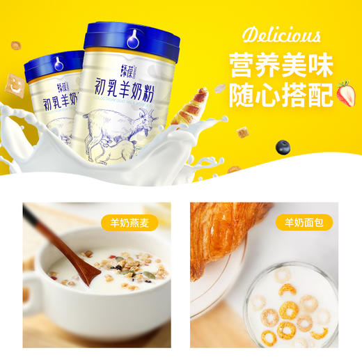 添葆初乳羊奶粉成人高钙富硒益生菌奶粉3岁以上全家适用 商品图4