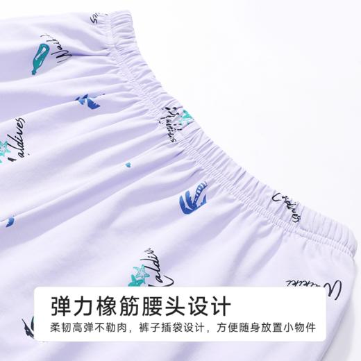 都市丽人女士棉质短袖套装薄40支TC拉架会员精选短袖类LHH1E9 商品图7