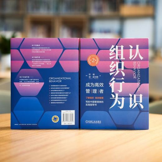 官网 认识组织行为 成为高效管理者 第2版 忻榕 琼 皮尔斯 组织行为学 组织管理 企业经营管理学书籍 商品图1