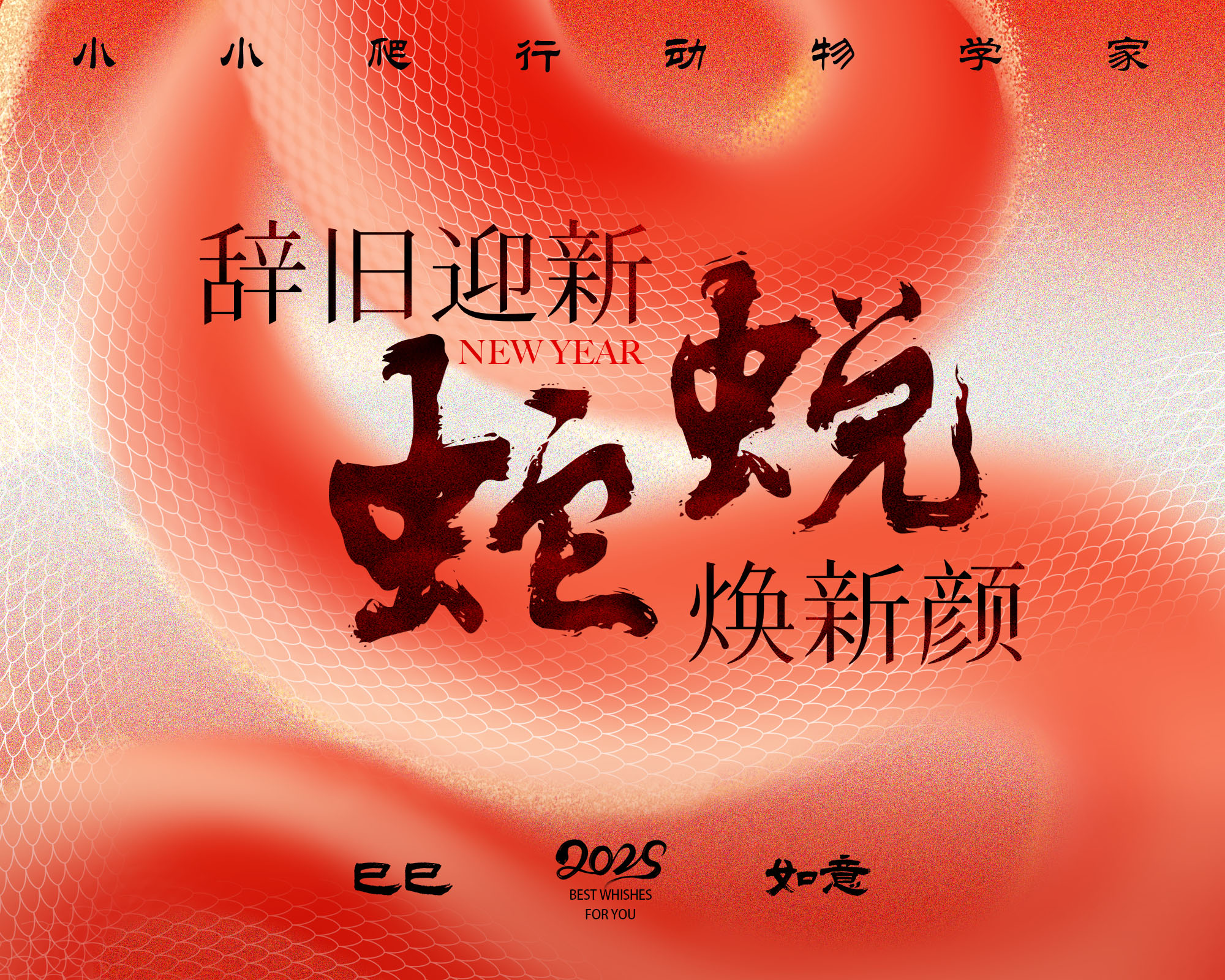 招募｜小小爬行动物学家-辞旧迎新蛇蜕焕新颜