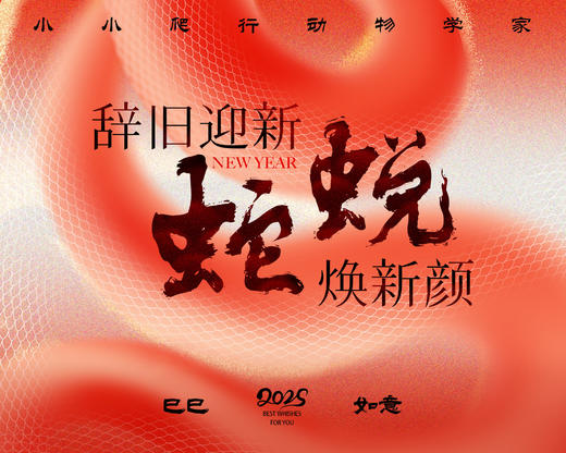 招募｜小小爬行动物学家-辞旧迎新蛇蜕焕新颜 商品图0