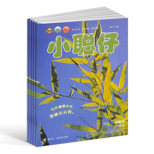 小聪仔自然科普版 1年共12期 自然动物儿童科学期刊杂志 杂志订阅 商品图3