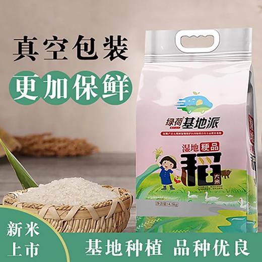 农科院湿地粳香米湿地保护区大米东北大米当季新米真空包装10斤包邮铁岭绿荷 商品图1