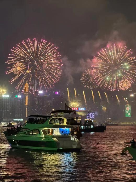 大年初二蛇年新春煙花匯演 商品图1