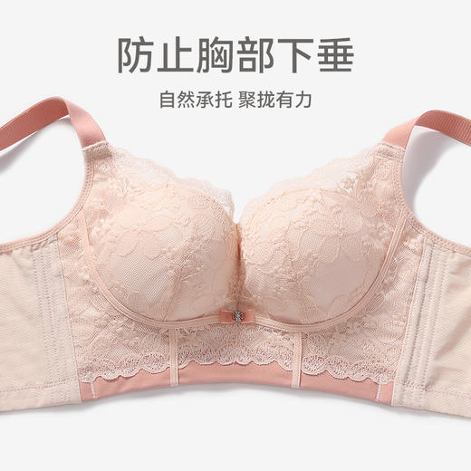 芬腾内衣女上托防下垂聚拢文胸女款性感蕾丝无钢圈舒适收副乳胸罩 商品图2