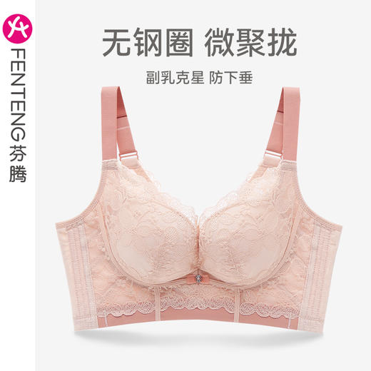 芬腾内衣女上托防下垂聚拢文胸女款性感蕾丝无钢圈舒适收副乳胸罩 商品图0