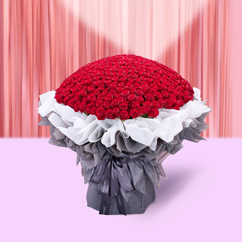 【高级定制鲜花】下单前请联系客服确认 ROSEONLY诺誓 鲜花玫瑰 钟情-手捧520支 199枝 送女友送老婆