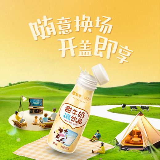 蒙牛甜牛奶饮品原味/草莓味配制型含乳饮料PET瓶250g×15瓶 商品图3