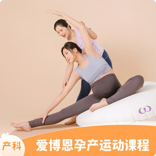爱博恩孕产运动课程 商品图0