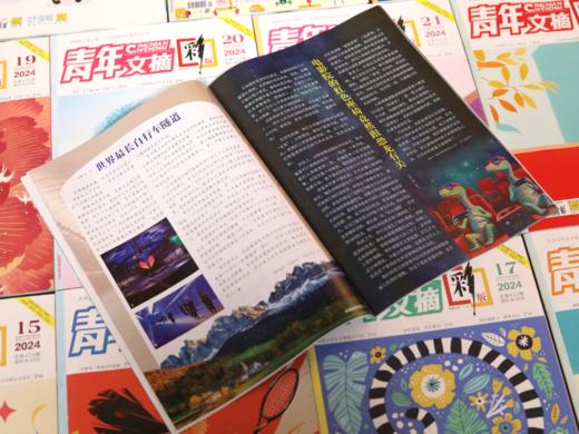 【老牌正能量杂志】《青年文摘》2025年5月~2026年4月（包含帆布袋+3本赠刊） 商品图8