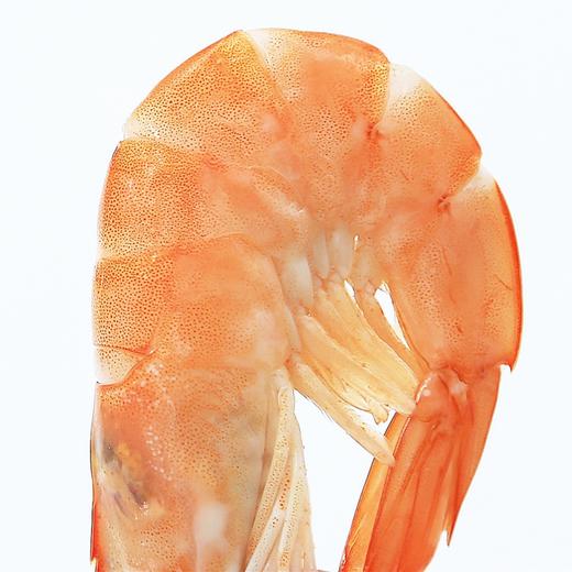 [厄瓜多尔进口] 欧玛莎南美大虾白虾 净重约2.8斤 (30-40)【当天可提货】 商品图5