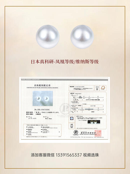 【福利囤珠】 日本真科研大证等级澳白对珠 商品图0