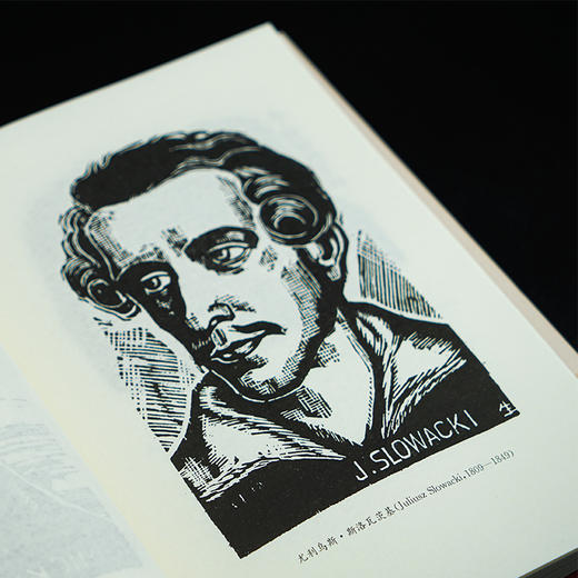 鲁迅《摩罗诗力说》注释·今译·解说 商品图8