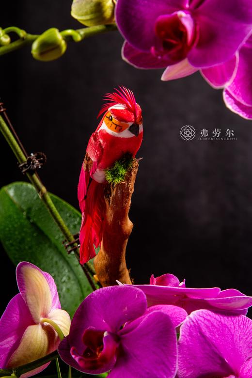 蛇跃新岁 商品图2