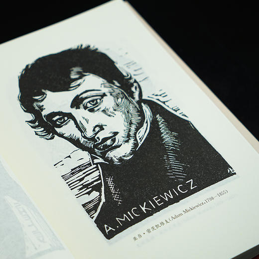 鲁迅《摩罗诗力说》注释·今译·解说 商品图7