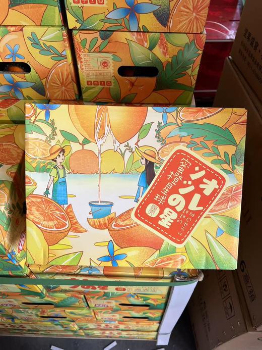 蜜橙星球（8斤左右） 商品图0