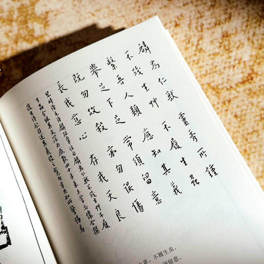 护生画集 全六册 丰子恺漫画之绝唱 460幅作品大集合 商品图9