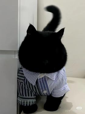 【hxy】饶燕专拍