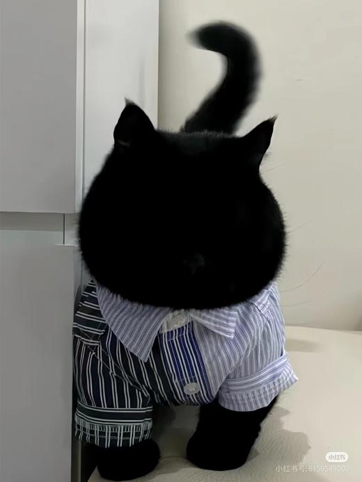 【hxy】饶燕专拍 商品图0