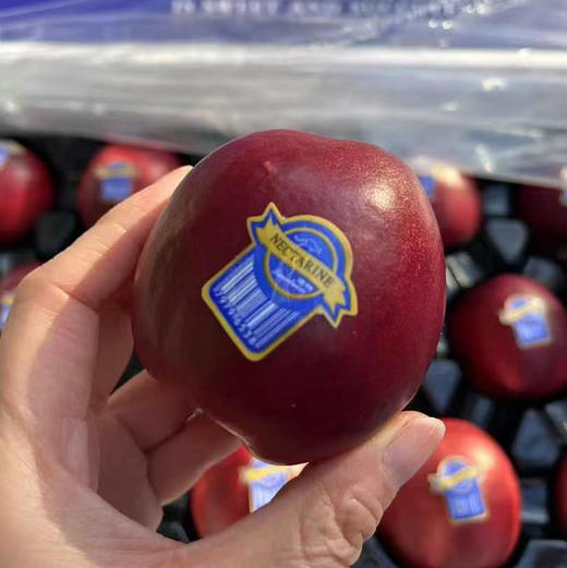 【澳洲金腰带】The Chosen One’s 黄油桃🍑浓郁的桃香，闻着就很治愈🌈咬开红润的外皮⭐是金黄多汁的果肉，富含果胶，丰富铁质，女孩多吃补血补 商品图1