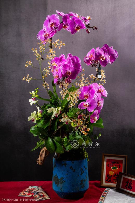 灵蛇纳福 商品图0