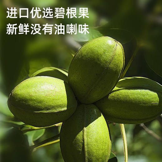 【味滋源】碧根果500g 奶油味大袋装散 核桃长寿果坚果炒货特产休闲零食 商品图3