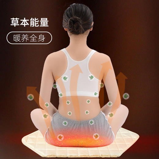 简小咪艾灸热敷坐垫 9档控温 商品图1