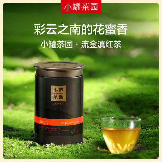 [自饮组合购]小罐茶园 流金大罐系列+公道杯+4口味尝鲜装试饮  （流金口味：茉莉花茶55g/大红袍茶40g/铁观音茶60g//滇红茶60g/普洱茶65g/寿眉茶50g） 商品图7
